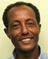 tarekegn hiwot alstrom europe trustee