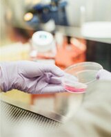 prometic's drug receives orphan drug designation
